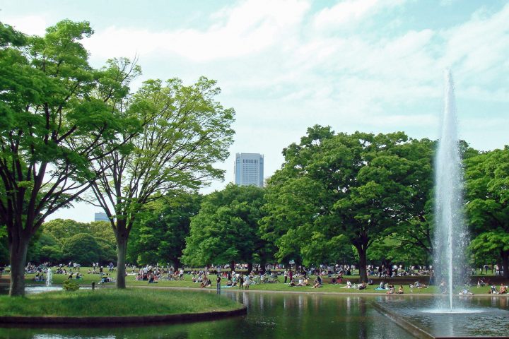 Guided Tokyo Bike Tour